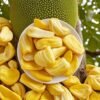 Bulk Wholesale Freeze-Dried Jackfruit Slices 100% Natural Tropical Snack Factory Direct OEM Supply