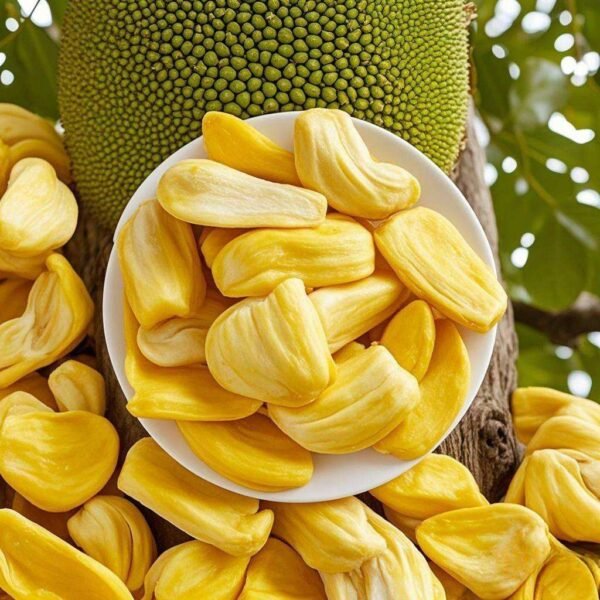 Bulk Wholesale Freeze-Dried Jackfruit Slices 100% Natural Tropical Snack Factory Direct OEM Supply