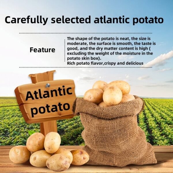 JIUR New Flavor Jasmine Oolong Snacks Crispy Tasty Salty Zero Trans Fats Casual Office Snacks Sweet Vegetable Fruit Box on Sale