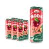 Refreshing Fruit Soda Drinks 320ML Canned Blueberry Sparkling Fruit Juice OEM Private Label Soft Drinks Factory in Vietnam ODM