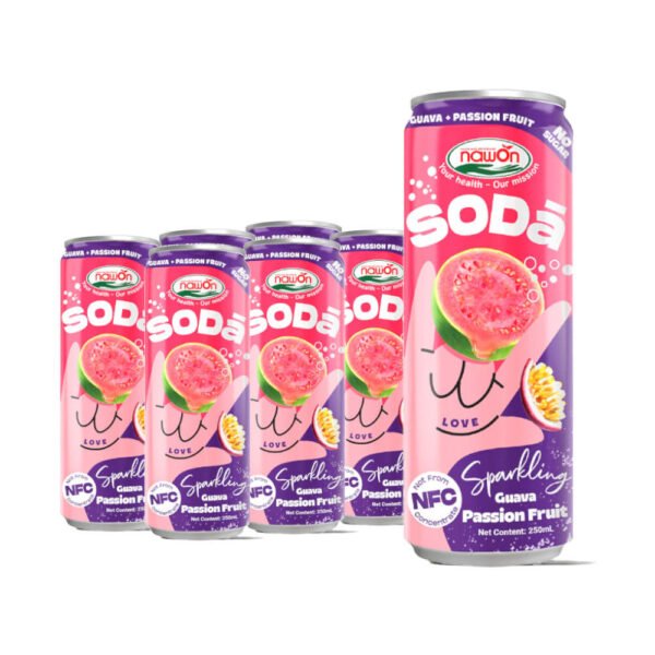 Refreshing Fruit Soda Drinks 320ML Canned Blueberry Sparkling Fruit Juice OEM Private Label Soft Drinks Factory in Vietnam ODM