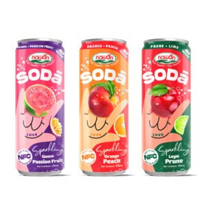 Refreshing Fruit Soda Drinks 320ML Canned Blueberry Sparkling Fruit Juice OEM Private Label Soft Drinks Factory in Vietnam ODM