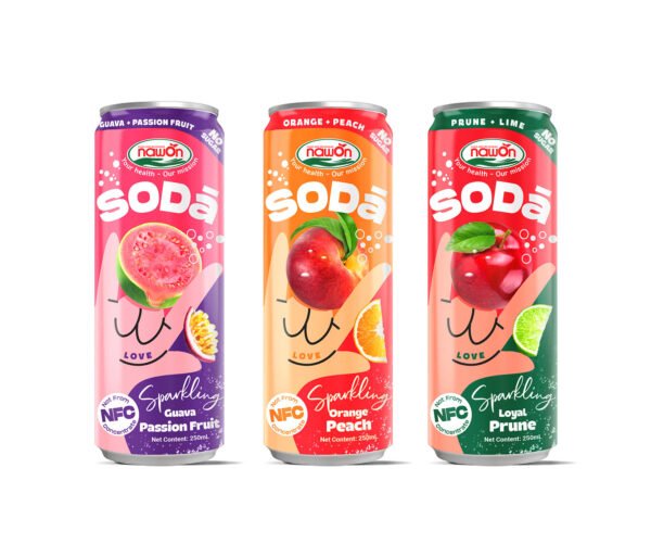 Refreshing Fruit Soda Drinks 320ML Canned Blueberry Sparkling Fruit Juice OEM Private Label Soft Drinks Factory in Vietnam ODM